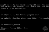 װdms6.1booting the kernel